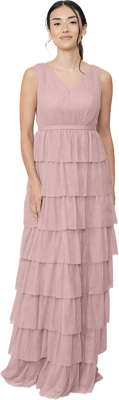 Clove Tulle Dress | Made To Order - Image 22